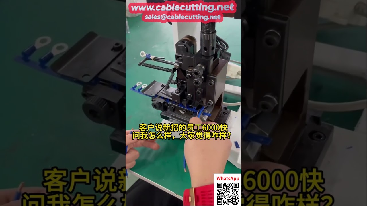 Máy đánh đầu cos chính xác tự động cấp liệu - Khuôn bên thông minh