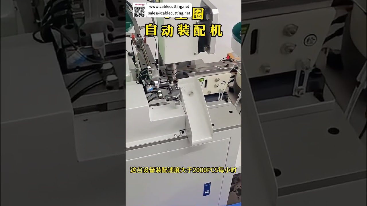 Nhà sản xuất thiết bị lắp ráp vòng hãm đáng tin cậy | Giải pháp máy móc tự động sáng tạo - Shorts