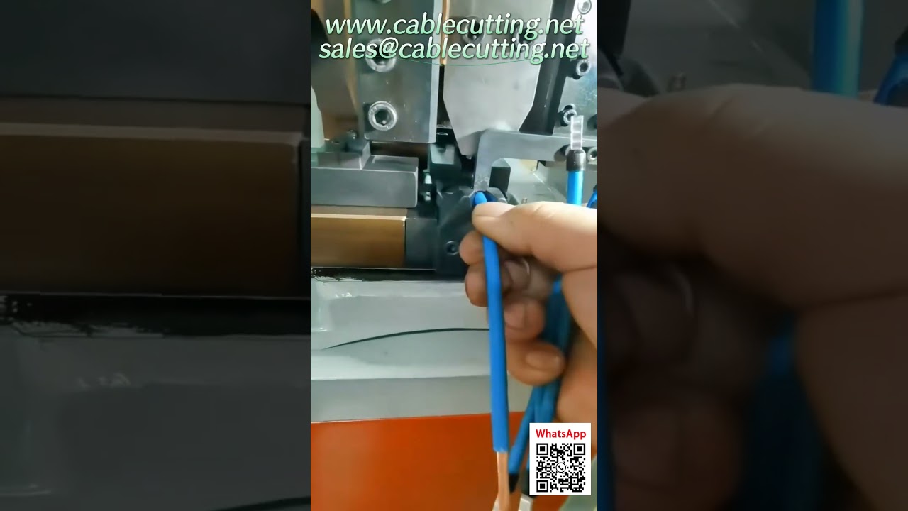 Máy Ép Đầu Nối Ống Cỡ Lớn Tự Động – Bộ Cấp Phôi Rung Cho Dây Chuyền Đóng Gói