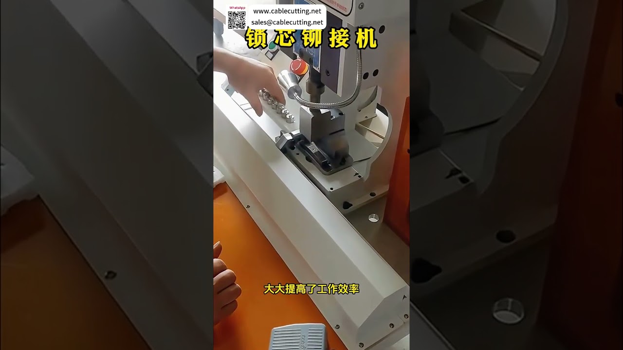 Nhà cung cấp thiết bị lắp ráp vòng đệm chuyên nghiệp - Máy móc công nghiệp tự động chất lượng cao - Shorts