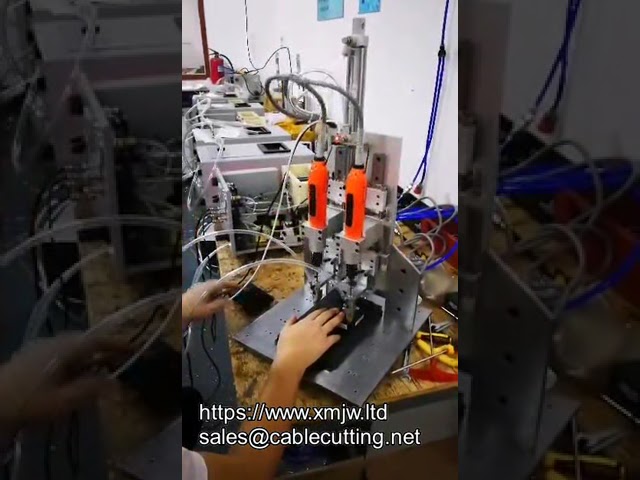 Máy vặn vít điện tự động hai đầu với trục Z di động và hệ thống cấp vít tự động - Tối ưu dây chuyền lắp ráp