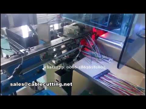 Máy ép đầu cốt tự động – Lắp ráp vỏ kết nối & chèn đầu cốt chính xác