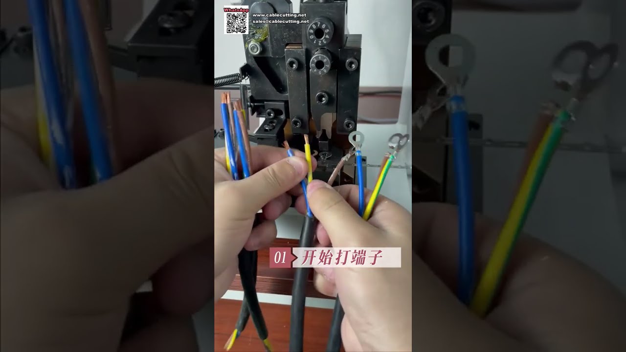 Máy ép đầu cos 2 tấn — Khuôn ngang cho cáp 2.5mm²